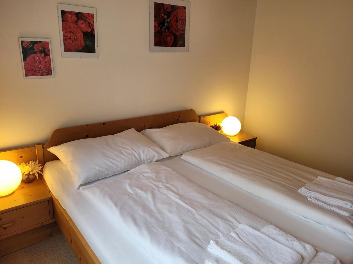 Profelt'S Apartments Uttendorf - Steinbock Lodges Luaran gambar